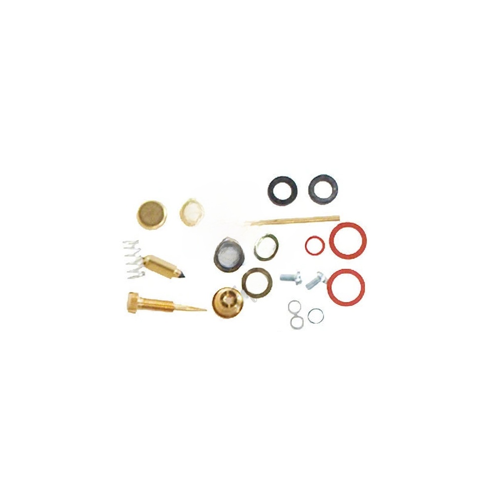 Kit di Riparazione Carburatore - Outdoor Power Tool Brands recensione e prezzo